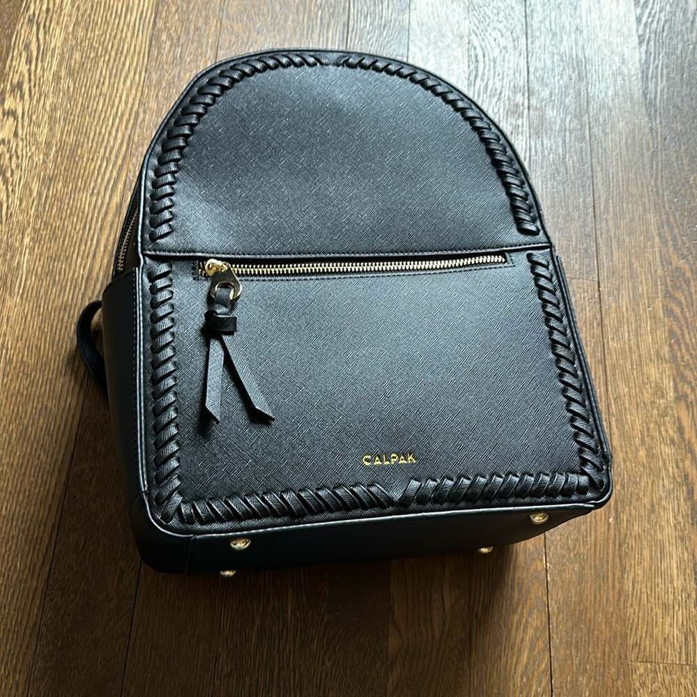 Calpak Travel backpack